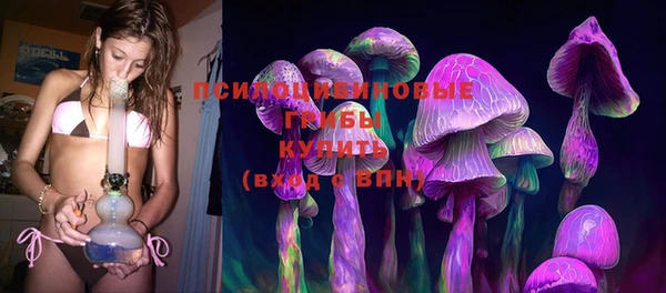 мет Карпинск