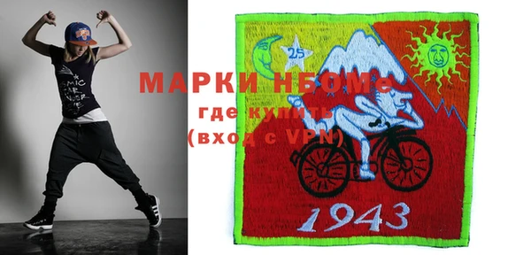 гашик Каменка
