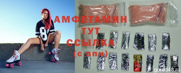 молекула духа Киреевск